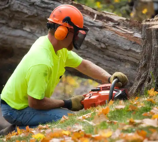 tree services Stuart